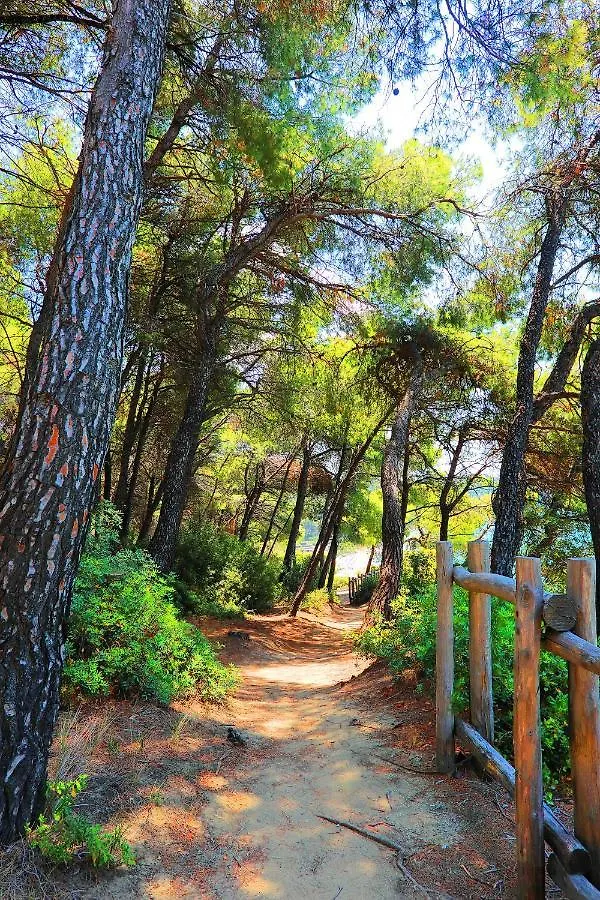 Ariadni Villa Sani Sani  0*, Sani (Chalkidiki) Greece